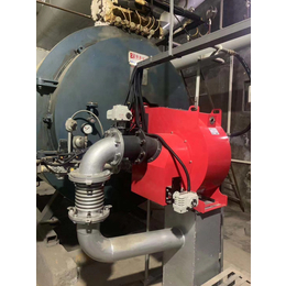 超低氮燃烧器厂家供应商洛燃气锅炉低氮燃烧机