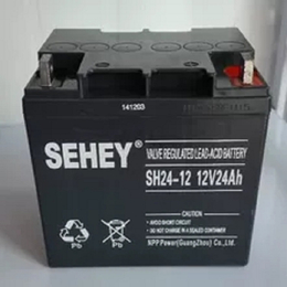 西力12V24AH蓄电池SH24-12铅酸免维护 直流屏