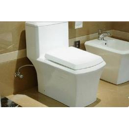 广州快速安装更换马桶厕所-越秀安装更换马桶厕所价格