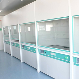 实验室通风橱排风柜化学试验进化气体柜储藏柜子全钢通风柜
