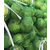金土地蔬菜代收中介-新疆蔬菜*基地缩略图1