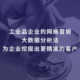 上海百度sem推广外包 自媒体代运营 SEO托管服务 添力缩略图