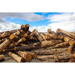 木材进口报关一定需要熏蒸吗进口木材提供不了熏蒸证怎么办