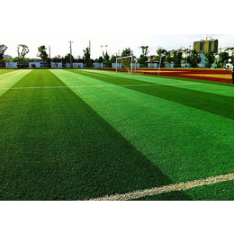 天津足球场人造草坪-世纪宏达体育-足球场人造草坪报价