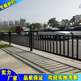广州街道人行道隔离护栏 交通机非分离栅栏
