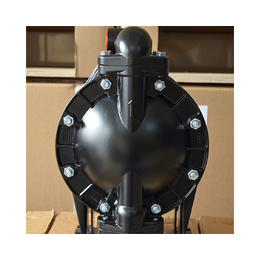 C气动隔膜泵-666120-244-C-山西星达机电设备