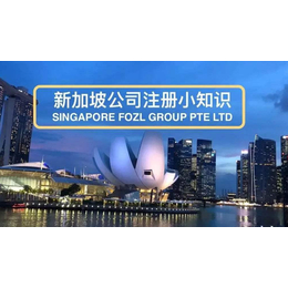 新加坡会注册 海外架构项目发行优选