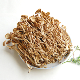 长沙学校食堂食材供应商 湖南蔬永农产品 蔬永配送---茶树菇