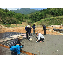 抚远销售植草透水地坪  植草模具