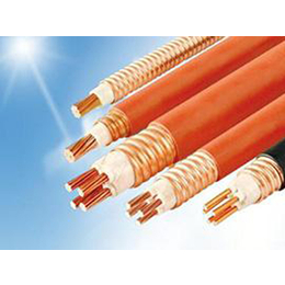 之艳电缆(图)-安康矿物质柔性线缆品牌-安康矿物质柔性线缆