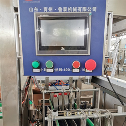 香港装箱机价格-青州鲁泰饮料机械-自动装箱机价格