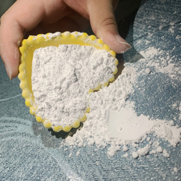 聚丙烯树脂级滑石粉  厂家供应超细超白 高纯度滑石粉