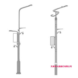 大昌路灯-河北市政路灯-市政路灯厂家