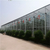 厂家建造玻璃温室  玻璃温室生态餐厅 定制温室骨架缩略图1