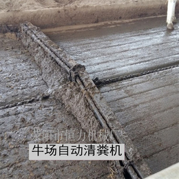 黑龙江牛场自动清粪机 牛场自动刮粪机厂家