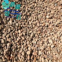 供应石英质鹅卵石 路面铺设石过滤石 自然鹅卵石材料厂家