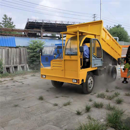 农用轮式四不像车 山区爬坡四驱自卸车 矿用四驱工程运输车