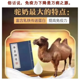 供应新疆伊犁那拉乳业厂家那拉丝醇骆驼奶粉厂家支持一件