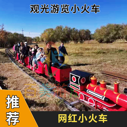 山西临汾景区网红电动小火车有轨观光小火车人气高