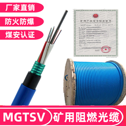 欧孚MGTSV-6b1煤矿用阻燃通信光缆6芯单模矿用铠装光缆