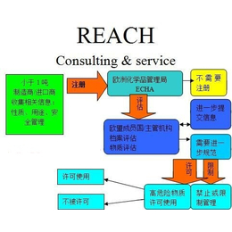 REACH认证224项报告REACH报告检测什么项目的 