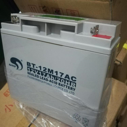 赛特蓄电池BT-HSE-135-12 福建赛特蓄电池