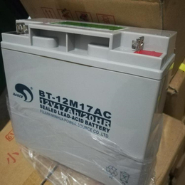 赛特蓄电池BT-HSE-65-12泉州赛特蓄电池