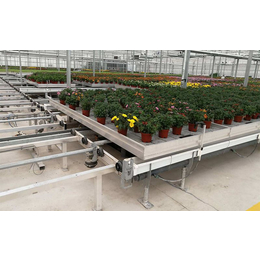 吉林种植花卉培育使用移动苗床潮汐苗床优势