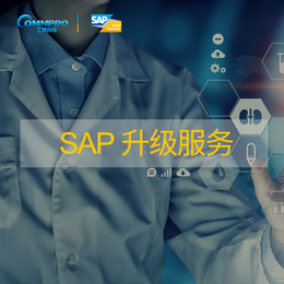 适用跨境电商ERP系统 SAP解决方案 工博科技