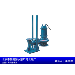 切割式污水泵比较-朝阳潜水泵(在线咨询)-广东切割式污水泵