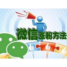 微信推广引流-武汉微网科技公司