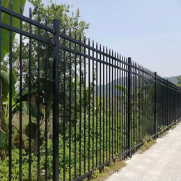 广州小区铁艺围栏 锌钢护栏 学校园静电喷涂围墙隔离栏