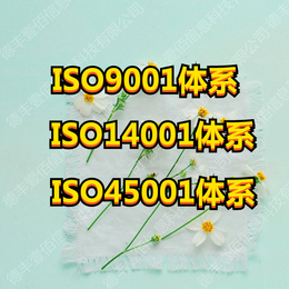 山东潍坊德丰壹佰  ISO9001体系认证 质量管理体系认证