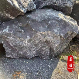 广东景观石材奇石厂家 黑山石供应商 黑色太湖石产地批发
