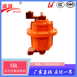 XBL系列立式振动电机