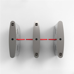 无锡双通道闸机_闸机通道