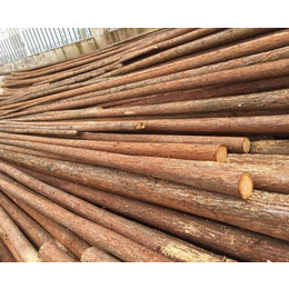 佳拓木业(多图)-绿化杉木桩批发-上海杉木桩批发