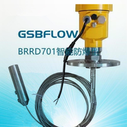 供应GSBFLOW智能防爆BRRD701型缆式雷达物位计