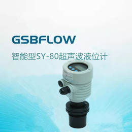 供应GSBFLOW智能型LY-80超声波液位计缩略图