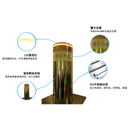 升降液压柱-液压升降柱-杭州博志科技有限公司(查看)