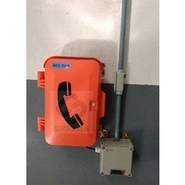 噪扩音电话机防水电话机壁挂式电话机