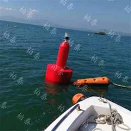 天津海运航道浮标安装与投放
