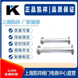 GJBR金属软管 进口金属软管