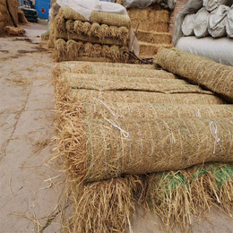 陕西安康植草毯 生态椰丝毯加工 环保草毯 植生毯护坡复绿快