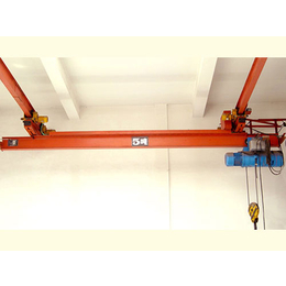矿用防爆起重机报价-甘肃矿用防爆起重机-天桥大力起重机公司
