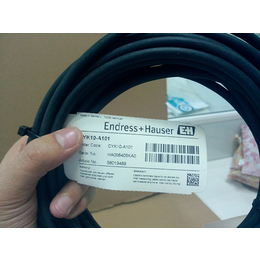 德国E+H恩德斯豪斯CYK10-A101数字电缆10米