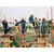 济南招出国劳务输出建筑木瓦工钢筋工工程车司机厨师等月薪4万起缩略图1