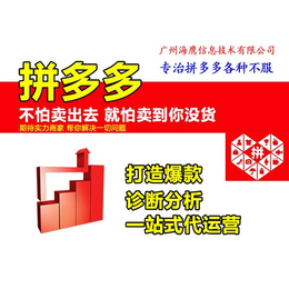 拼多多运营公司怎么做-自贡拼多多运营公司-海鹰价格优惠