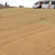 公路边坡绿化 稻草草毯护坡 加筋植生毯 铁路绿化带缩略图2