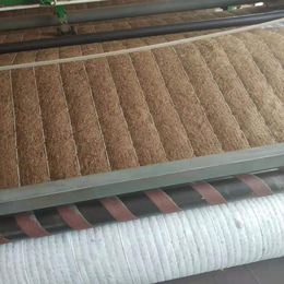 植物纤维毯 保温保湿椰纤维植被毯 边坡绿化养护